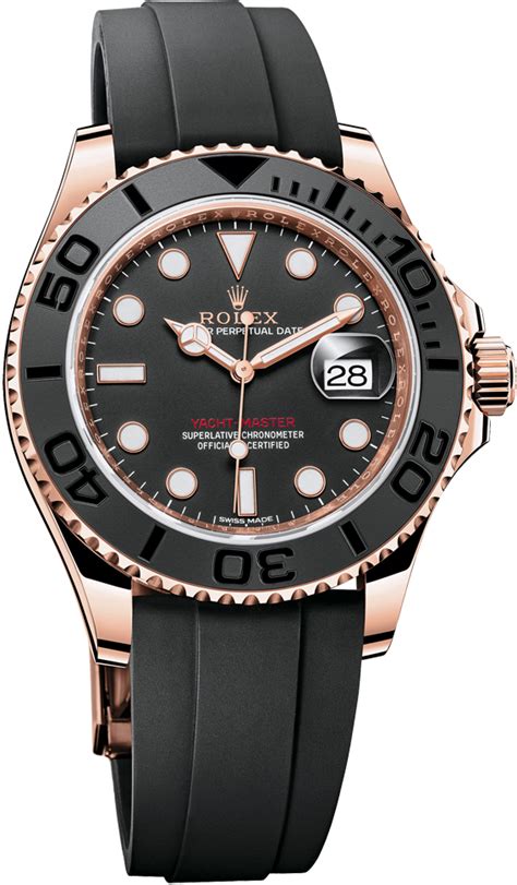 la cote des montre rolex|rolex watches.